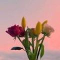 春暖花开