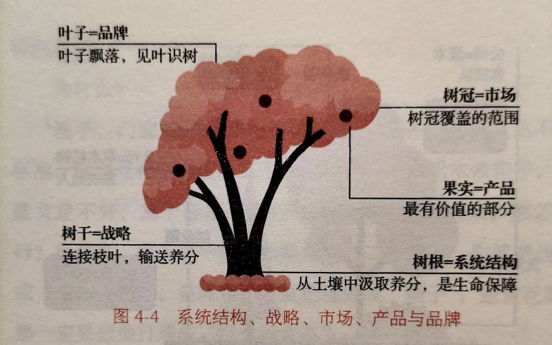 重庆口才培训,演讲培训,樊荣强,当众讲话
