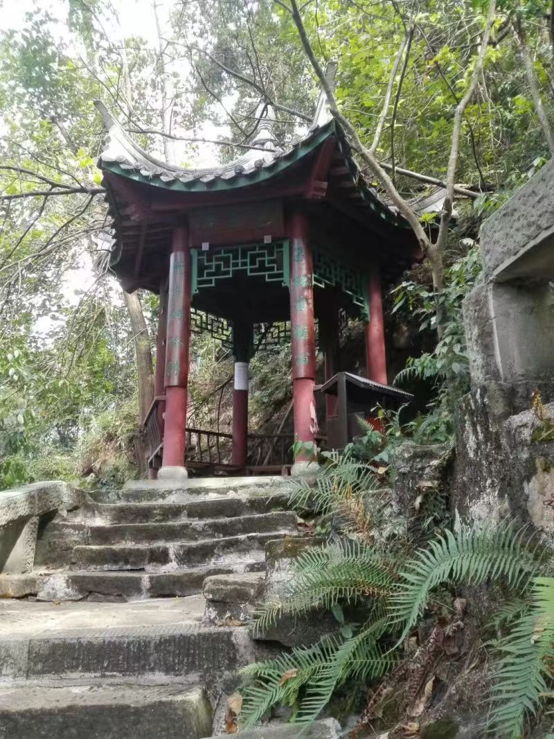 重庆口才培训,演讲培训,樊荣强,当众讲话