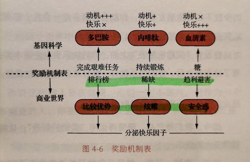 重庆口才培训,演讲培训,樊荣强,当众讲话