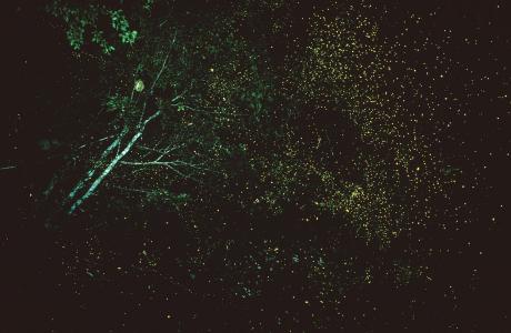 mmexport1504144437752