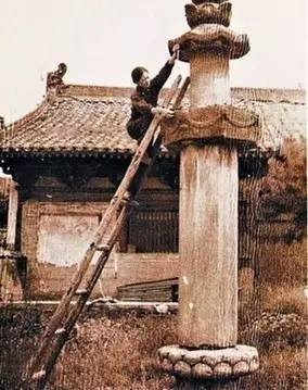 13365944294901277715