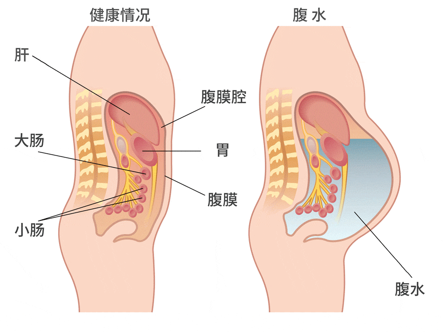 重庆口才培训,演讲培训,樊荣强,当众讲话