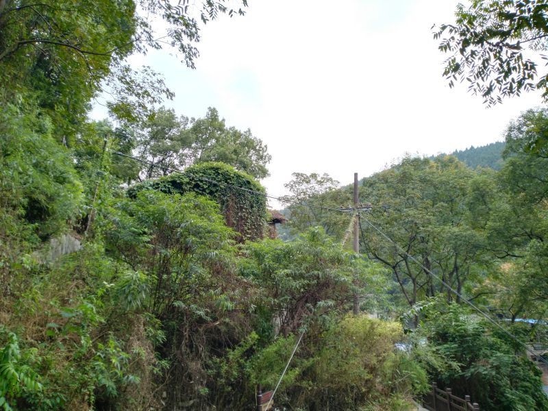 重庆口才培训,演讲培训,樊荣强,当众讲话