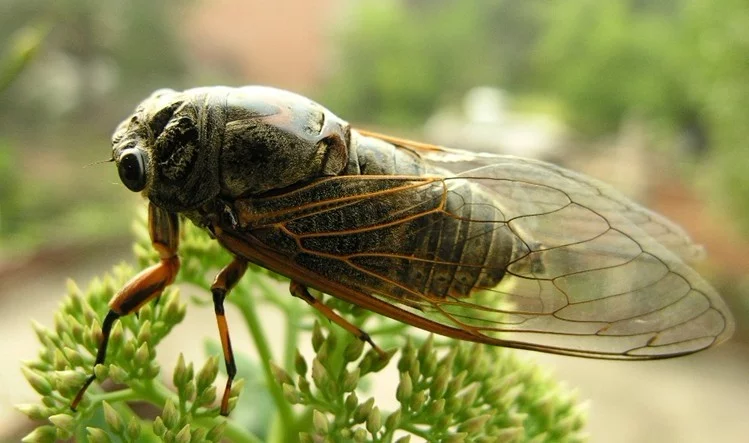 01300000098168132498651028386