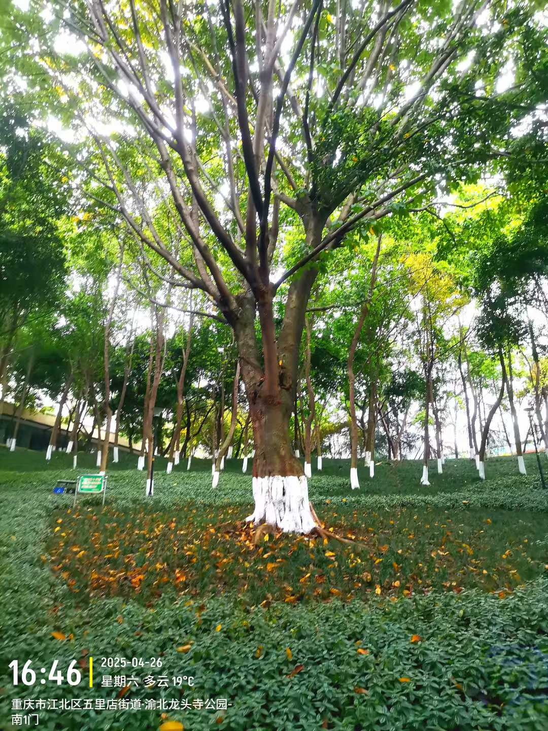 微信图片_2025-04-27_113804_031