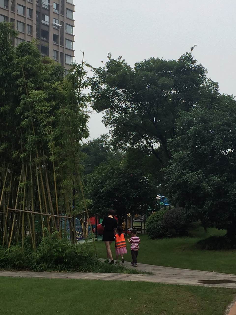 mmexport1498889608818