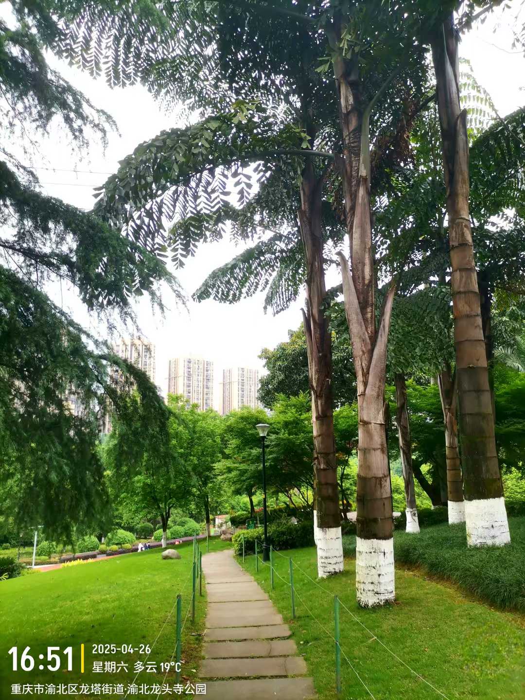 微信图片_2025-04-27_113815_060