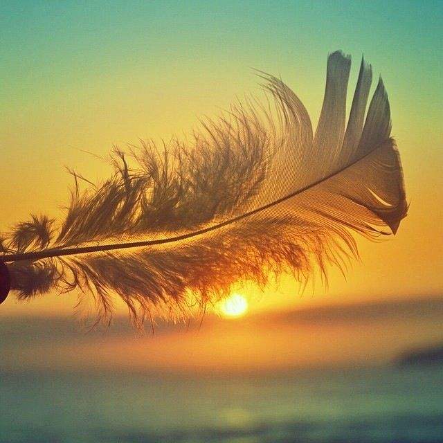 mmexport1507458697663