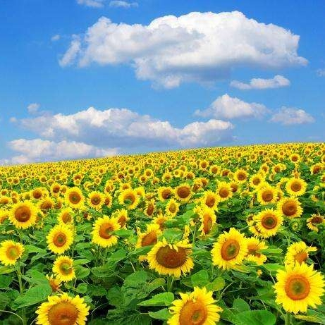 d8766eb3eb2a72523251a204999c5db_mh1501599827262