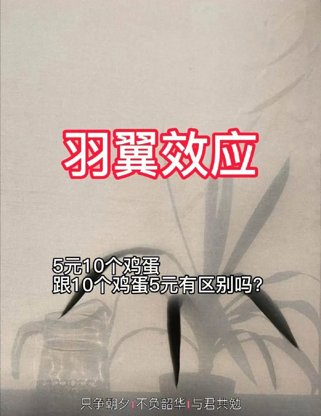 重庆口才培训,演讲培训,樊荣强,当众讲话