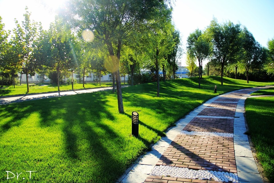 65924f4ea0591e19a3d0efda0e15565e_2077923