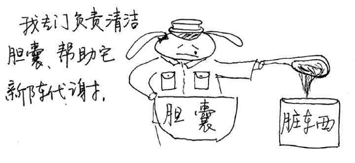 说医不二：懒兔子漫话中医image_46_1_m